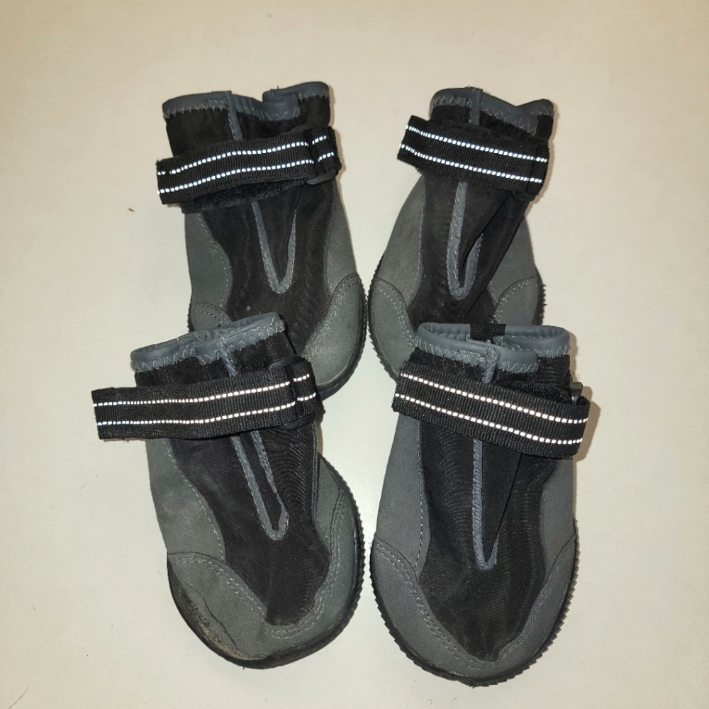 Big Dog Shoes